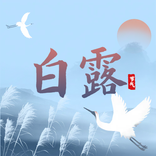 白露 | 蒹葭蒼蒼，白露為霜