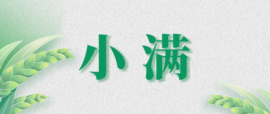 小滿 | 萬物見長，小得盈滿